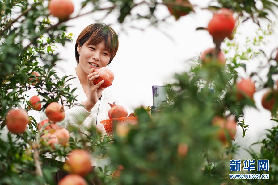 (新华全媒头条·图文互动)(12)流动中国折射复苏新气象——透视“十一”黄金周